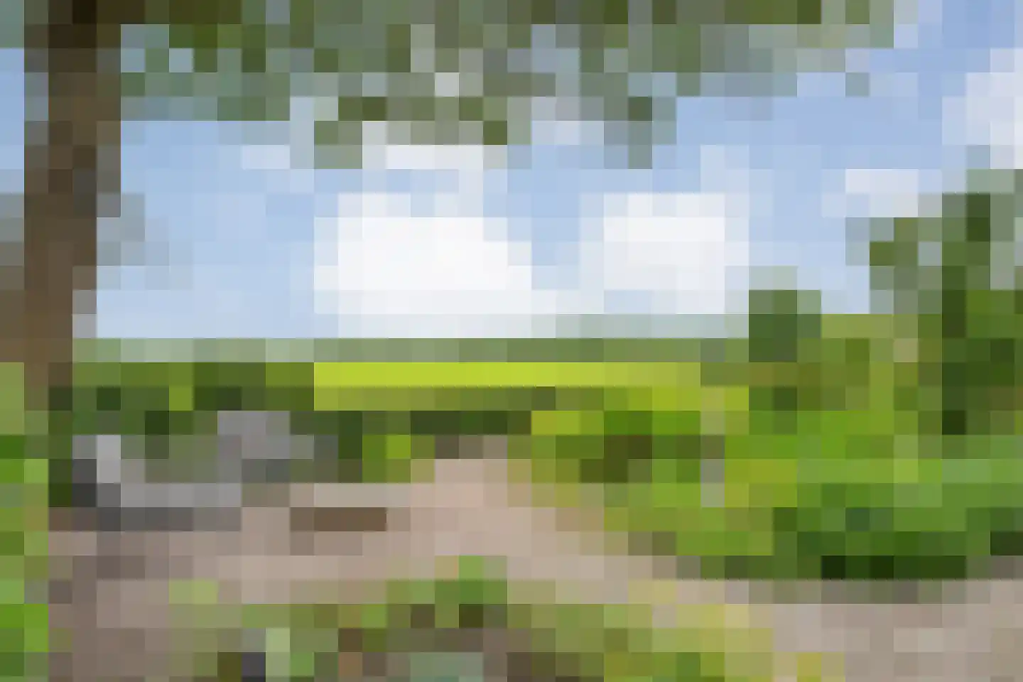 Dennenweg 2 Linde thumbnail 71