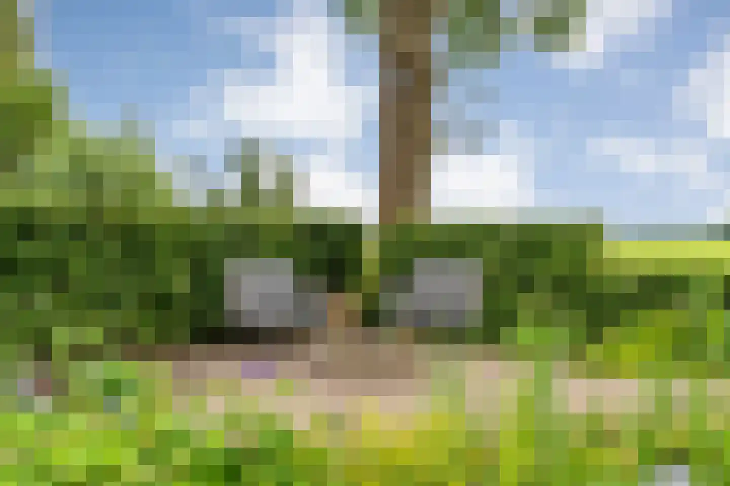 Dennenweg 2 Linde thumbnail 74