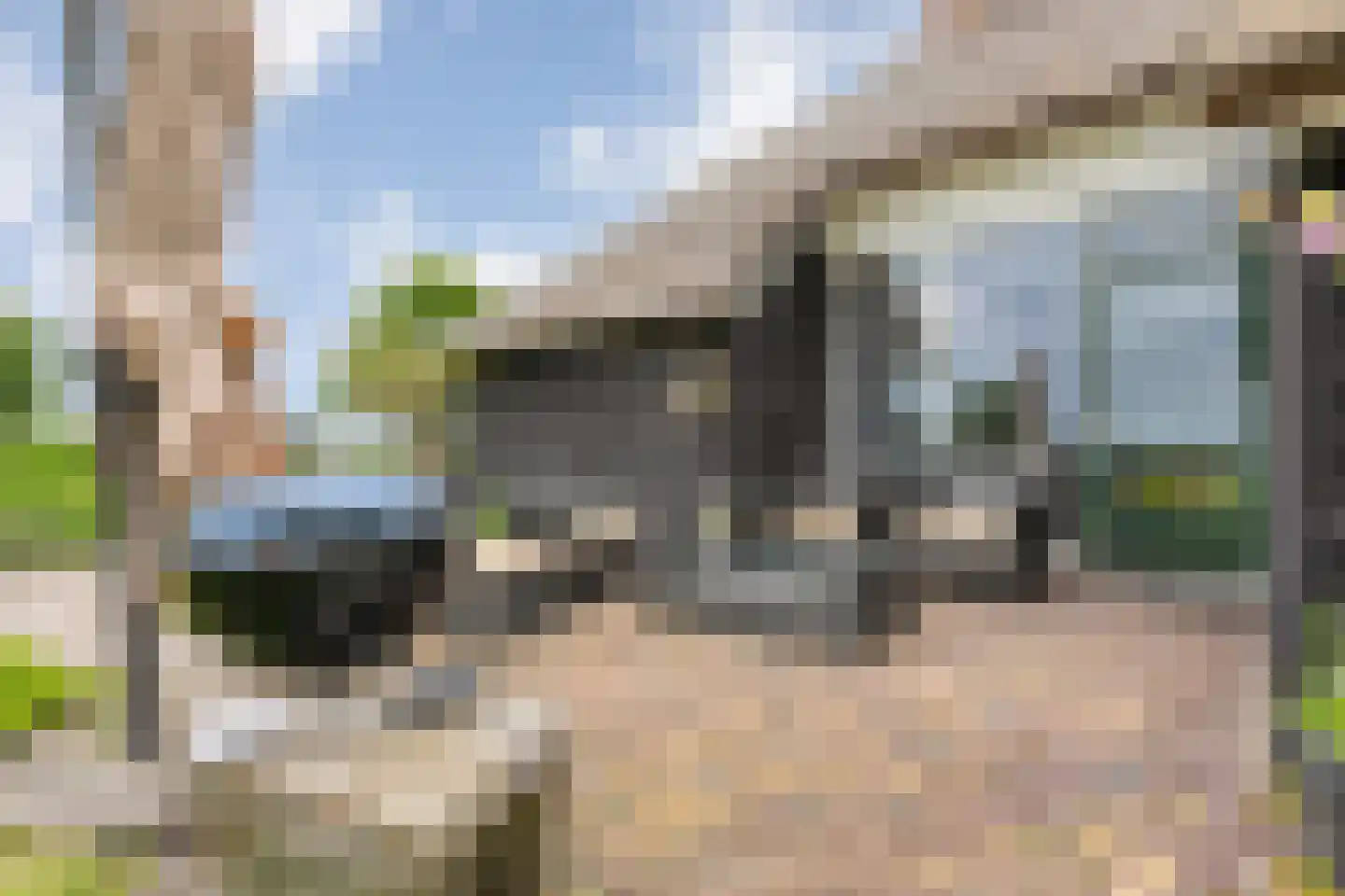 Dennenweg 2 Linde thumbnail 75