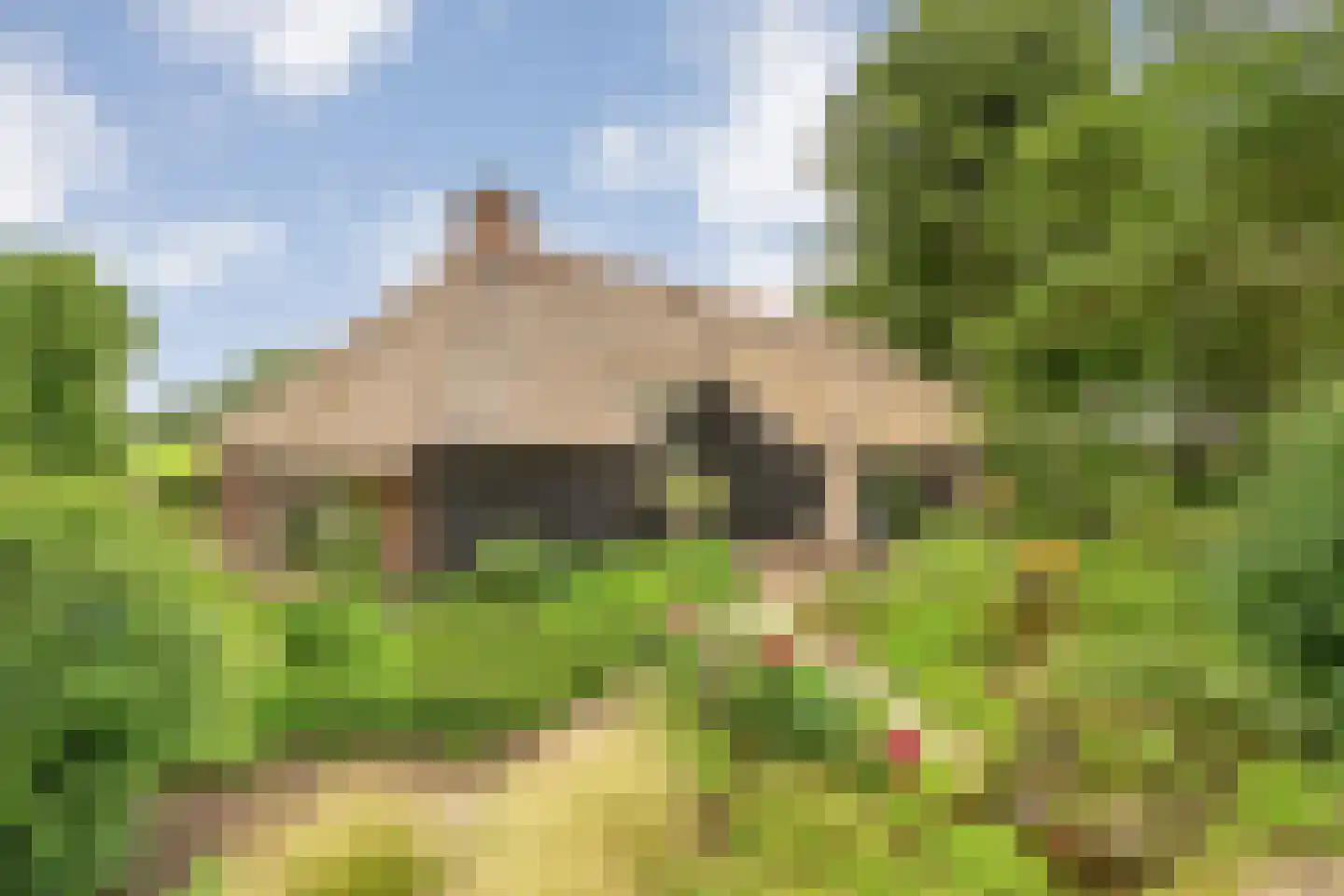 Dennenweg 2 Linde thumbnail 77