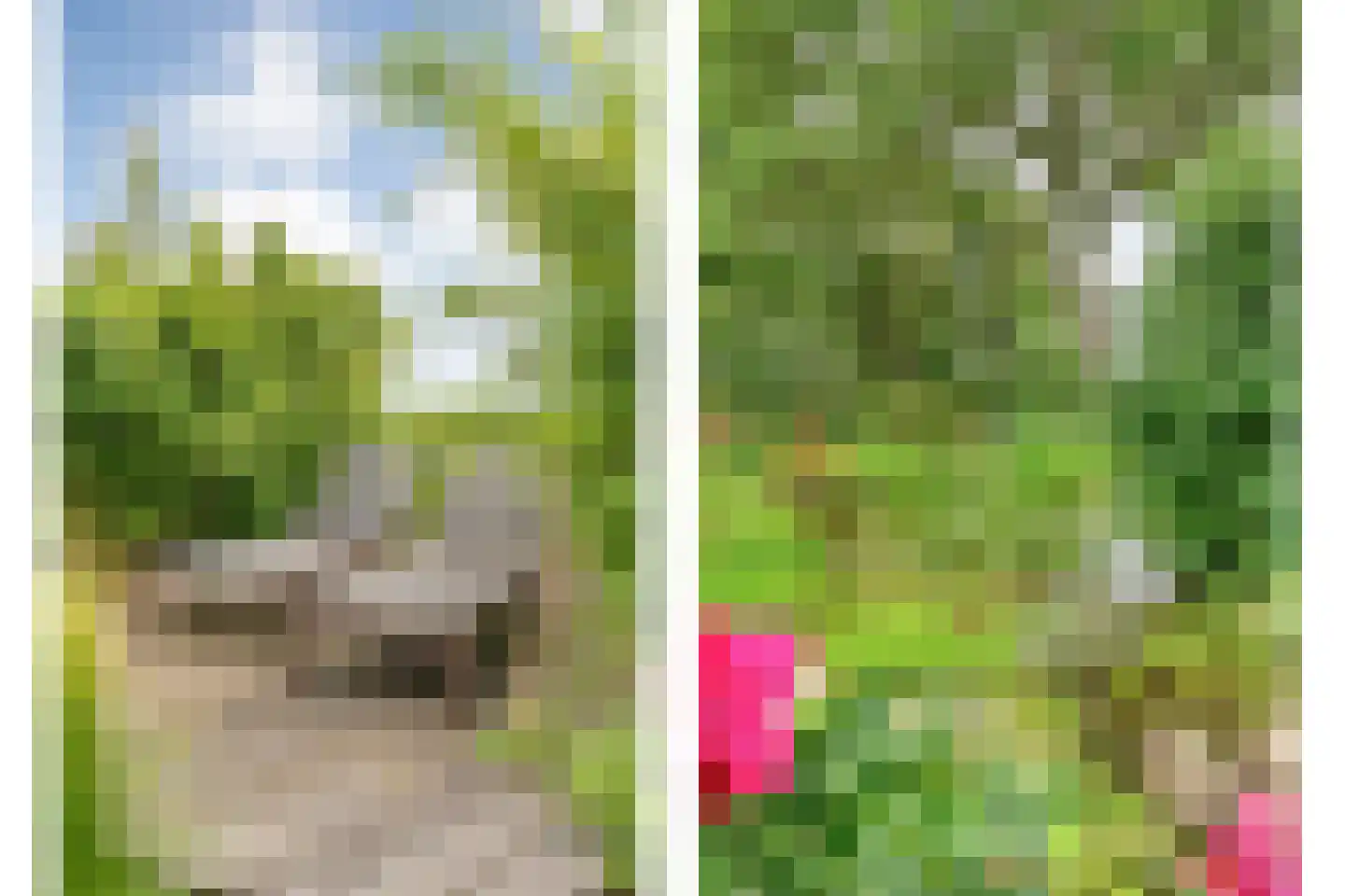 Dennenweg 2 Linde thumbnail 78