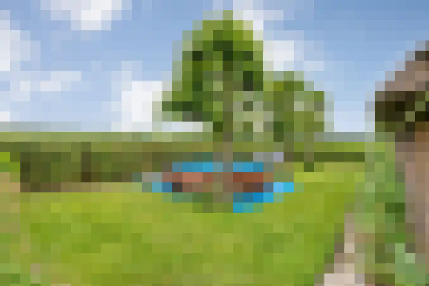 Dennenweg 2 Linde thumbnail 79