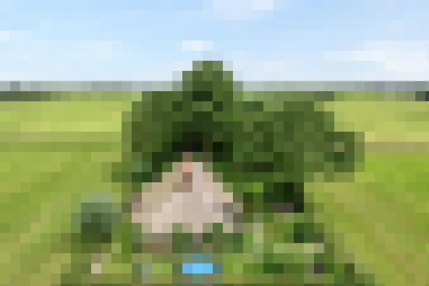 Dennenweg 2 Linde thumbnail 8