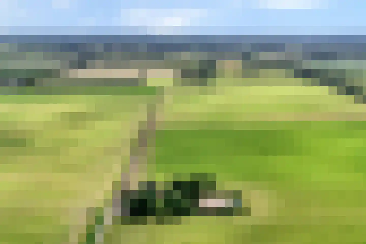 Dennenweg 2 Linde thumbnail 80