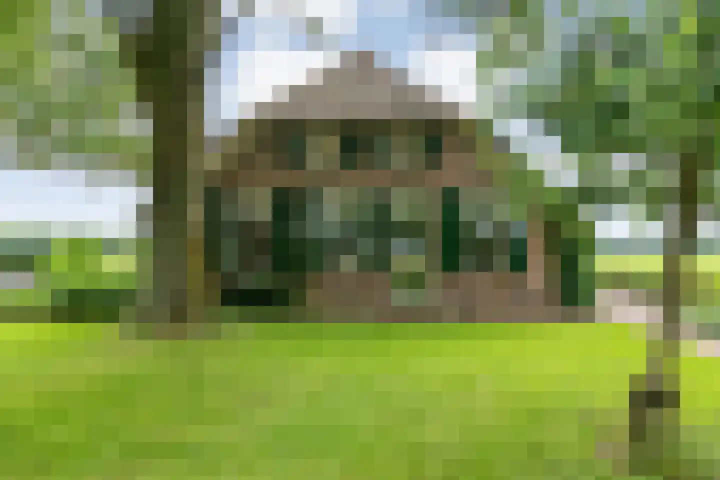 Dennenweg 2 Linde thumbnail 81