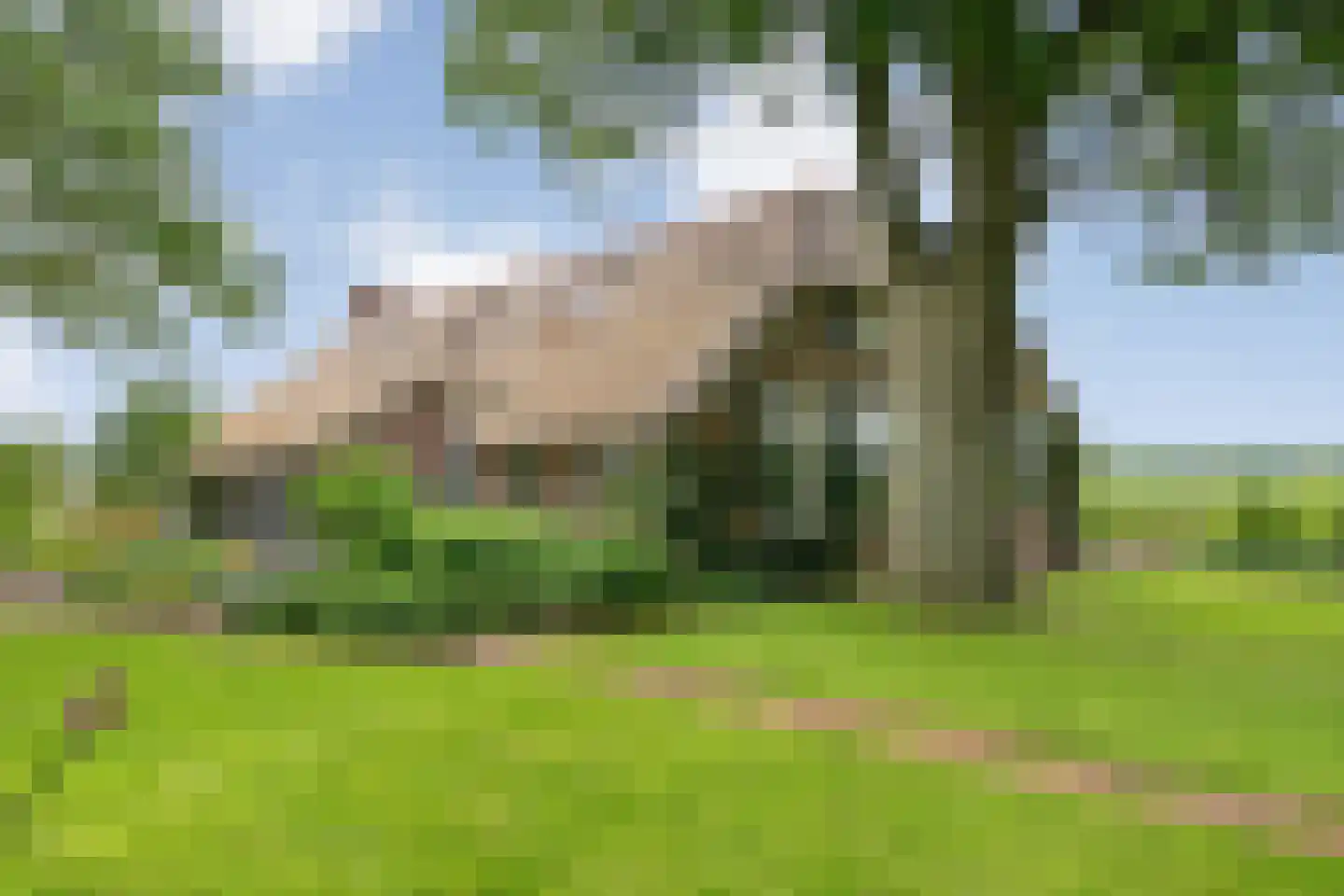 Dennenweg 2 Linde thumbnail 82