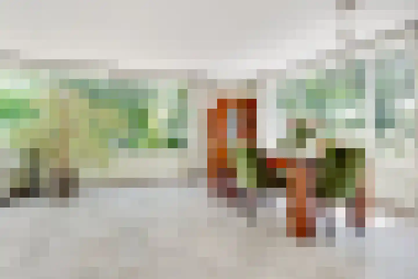 Dennenweg 22 Bosch en Duin thumbnail 10
