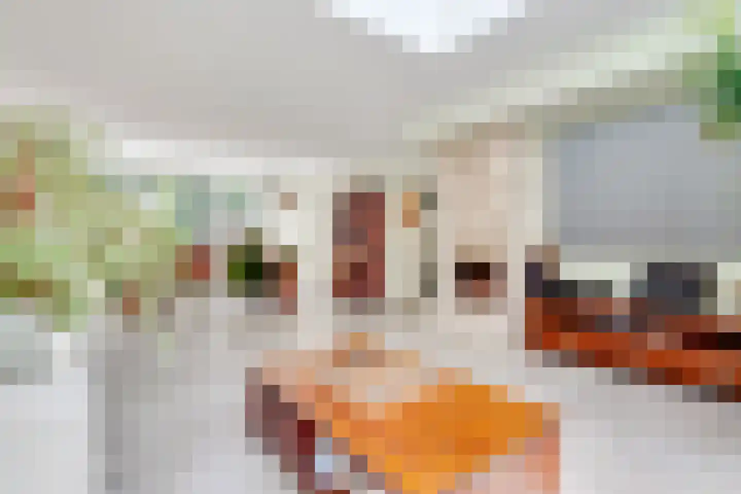 Dennenweg 22 Bosch en Duin thumbnail 13