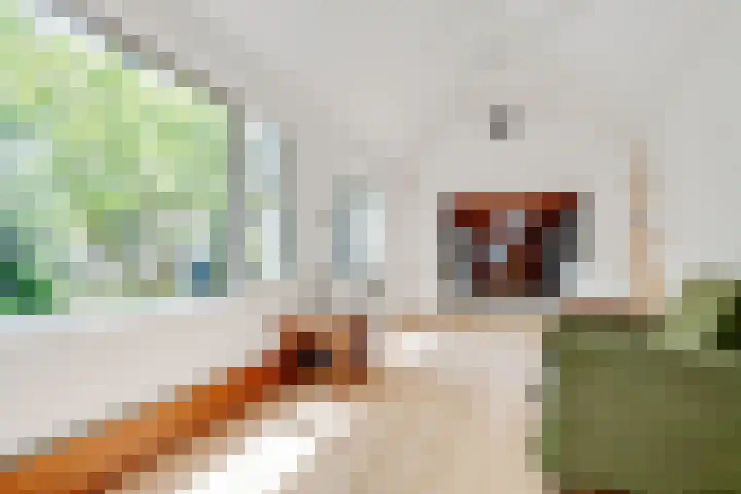 Dennenweg 22 Bosch en Duin thumbnail 26