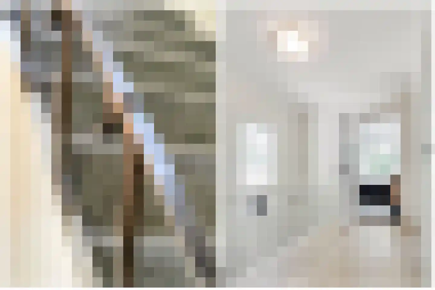 Dennenweg 22 Bosch en Duin thumbnail 30