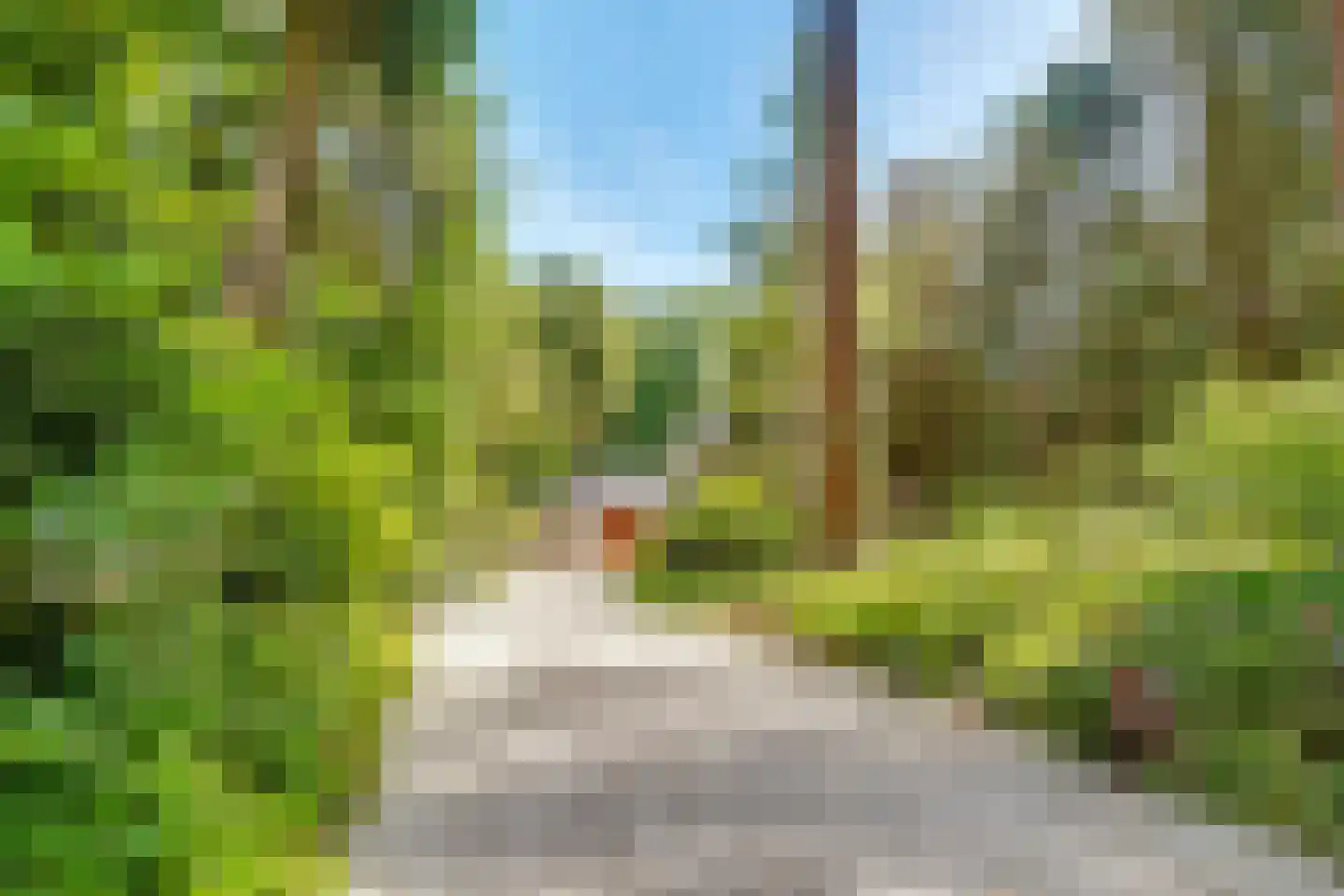 Dennenweg 22 Bosch en Duin thumbnail 4