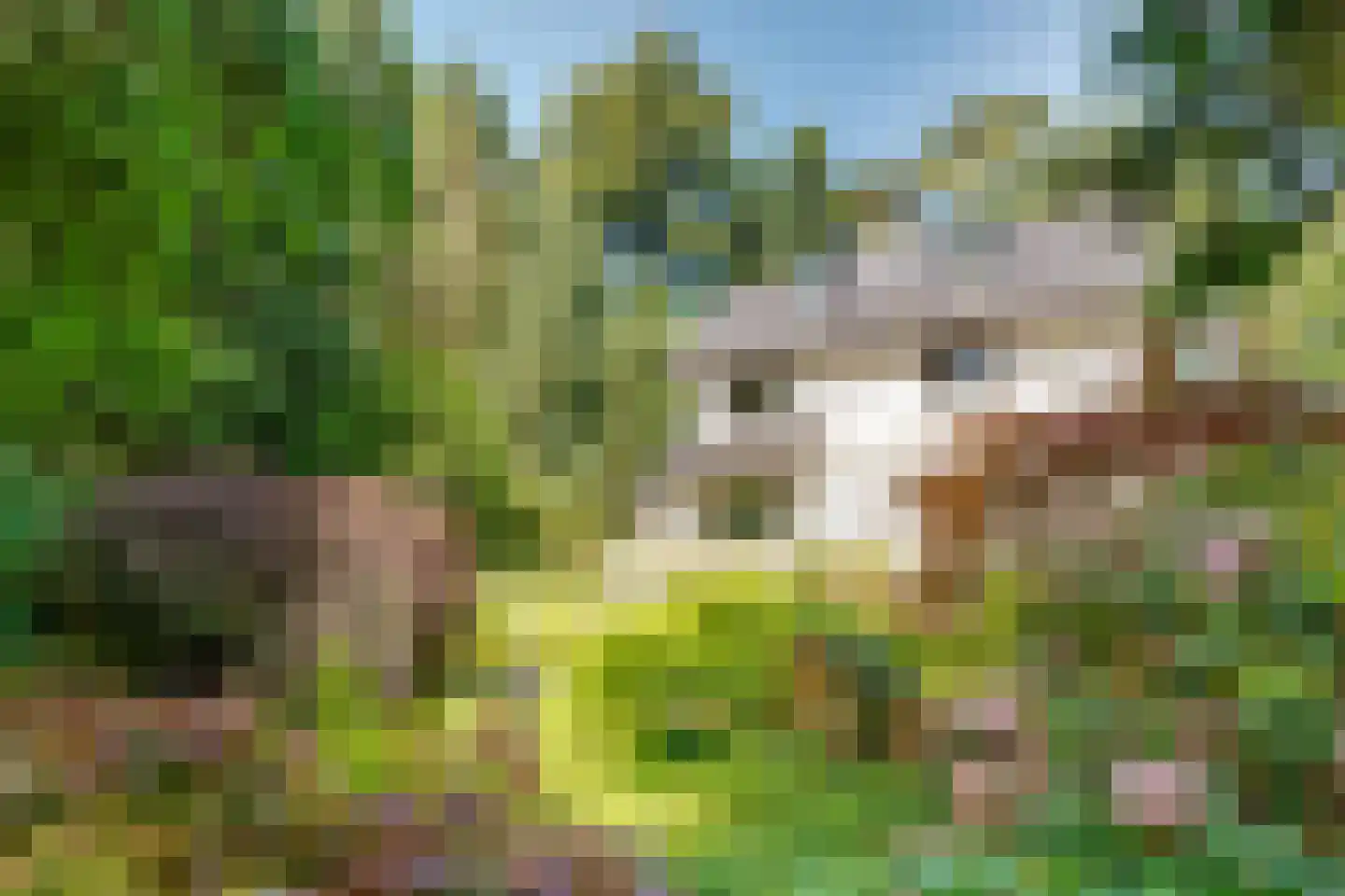 Dennenweg 22 Bosch en Duin thumbnail 42