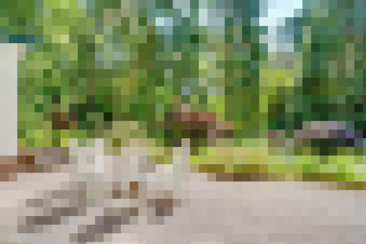 Dennenweg 22 Bosch en Duin thumbnail 44
