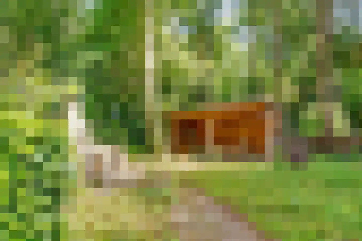 Dennenweg 22 Bosch en Duin thumbnail 46