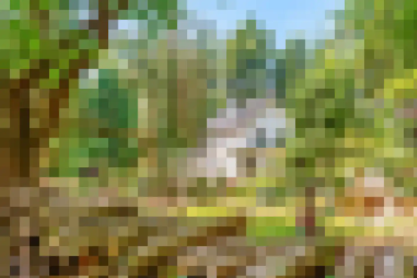 Dennenweg 22 Bosch en Duin thumbnail 47