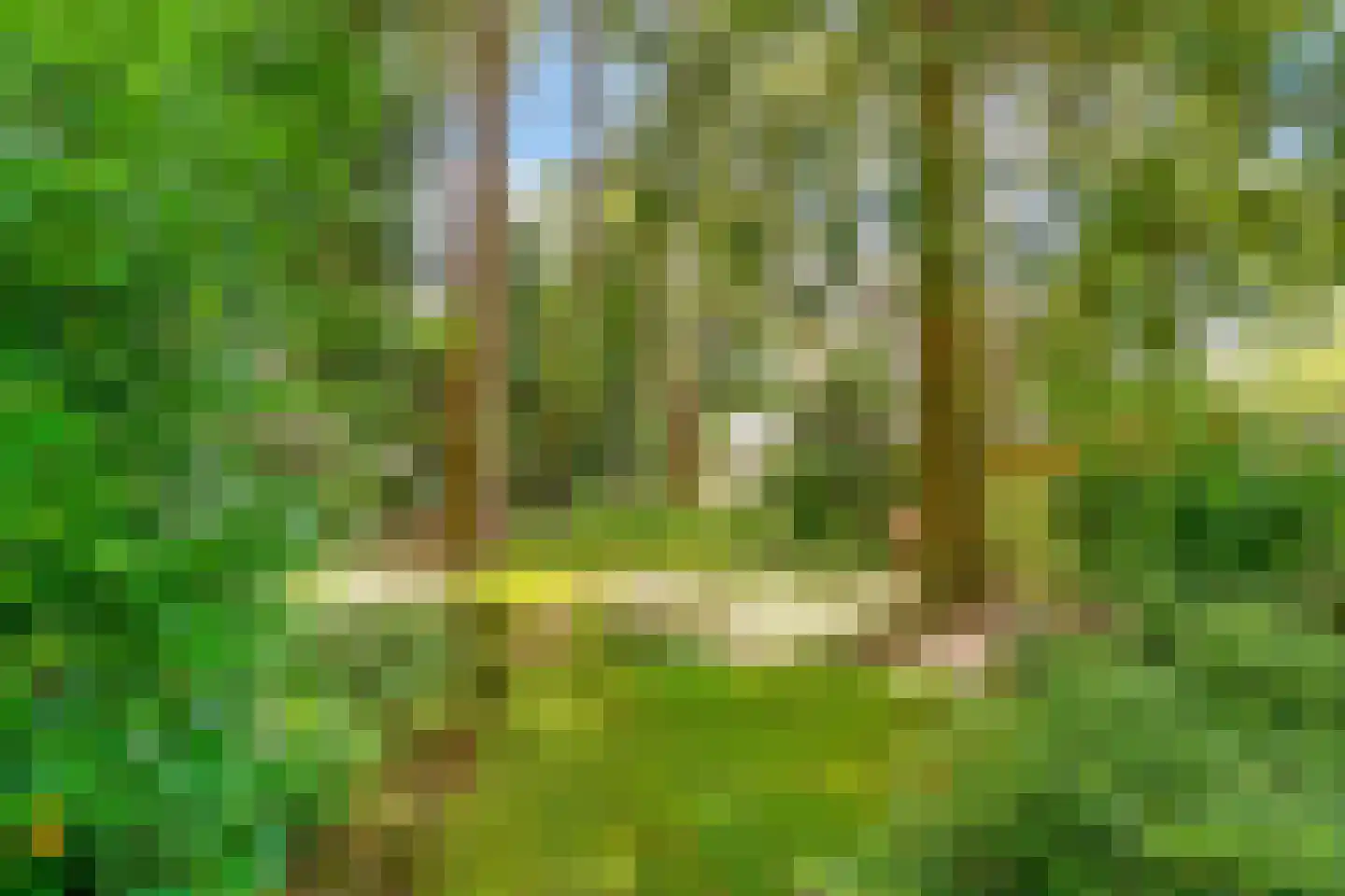 Dennenweg 22 Bosch en Duin thumbnail 48