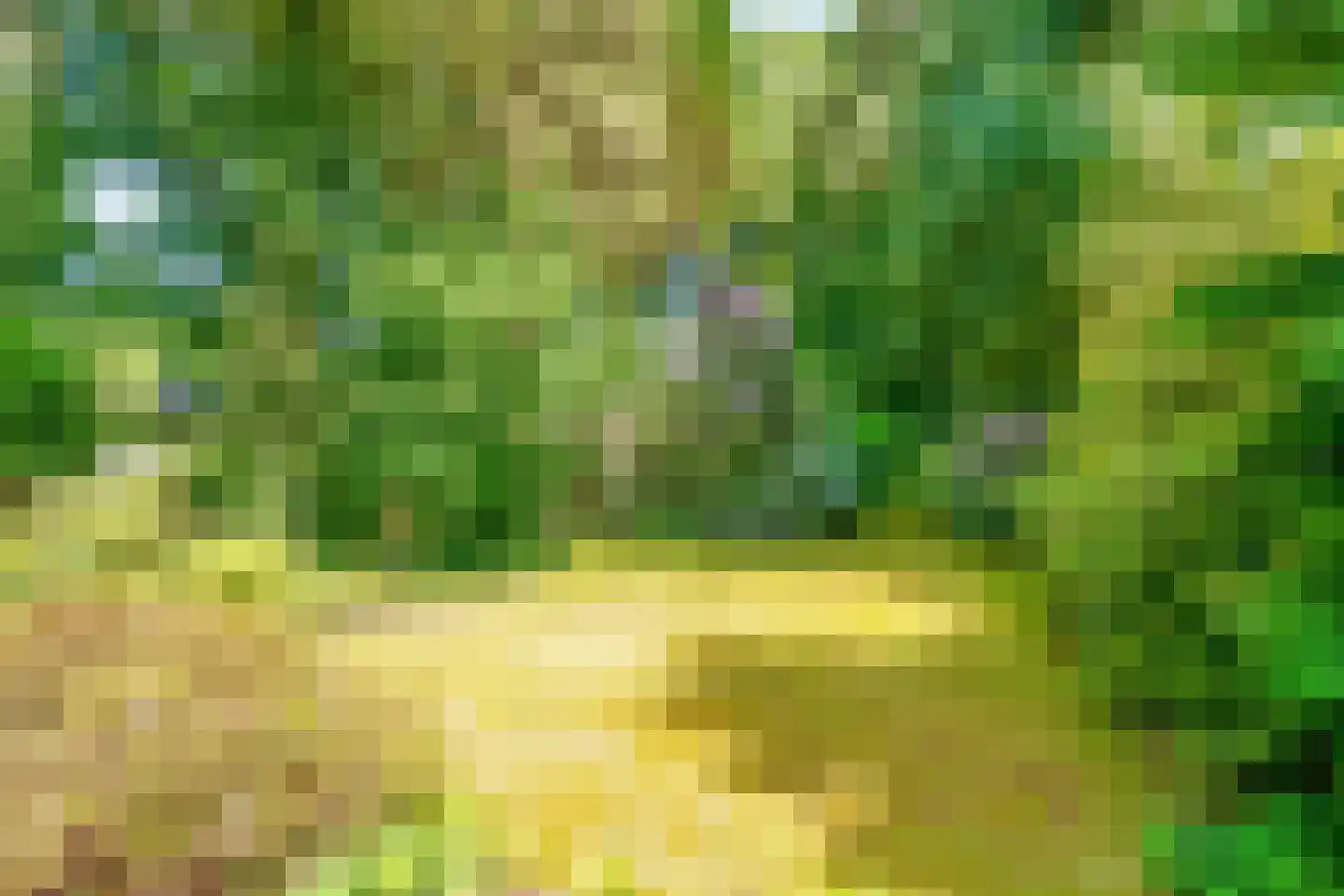 Dennenweg 22 Bosch en Duin thumbnail 49