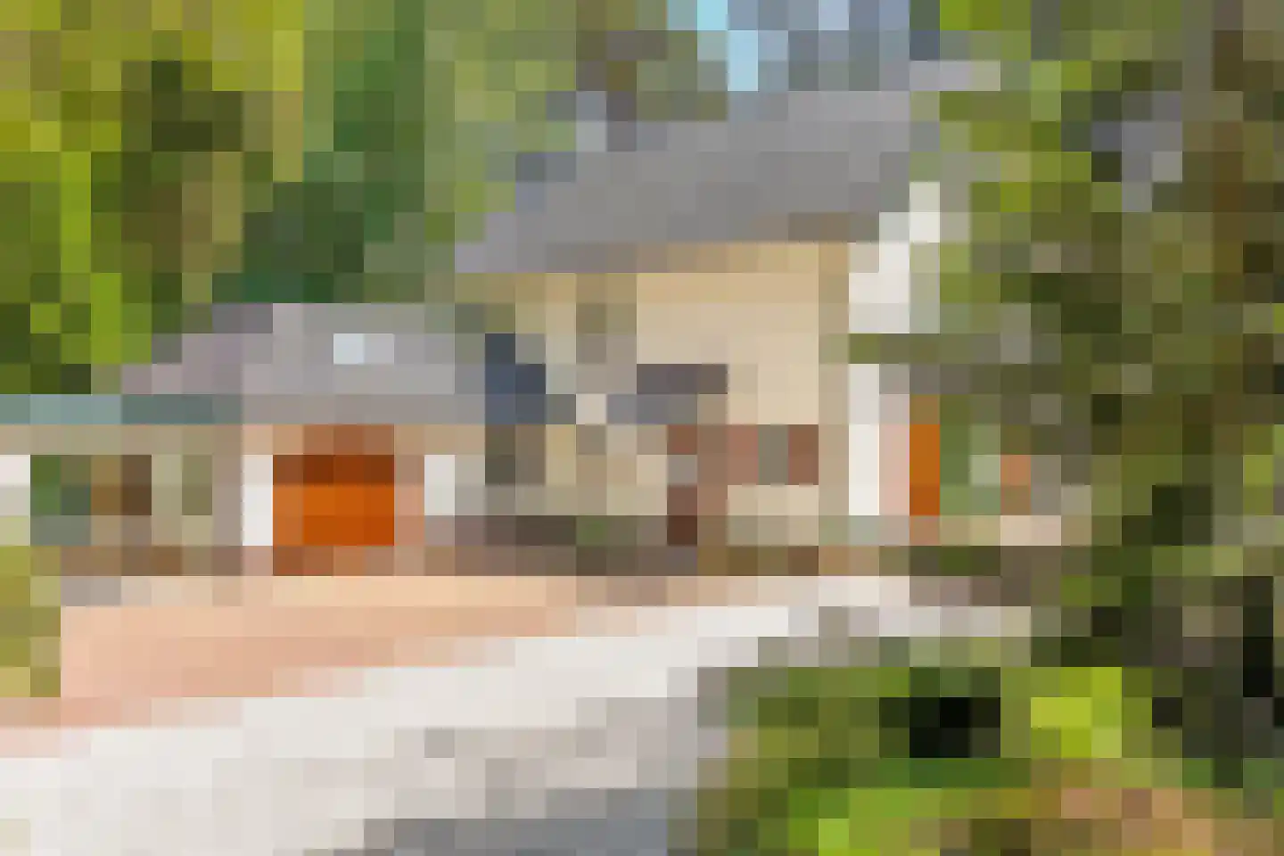 Dennenweg 22 Bosch en Duin thumbnail 5