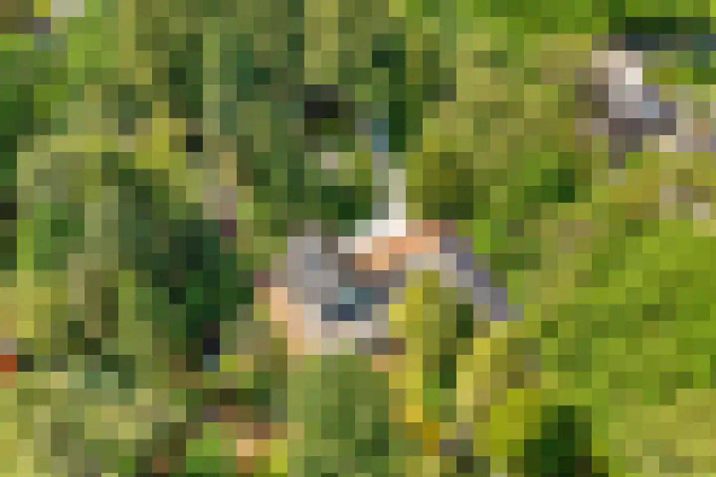 Dennenweg 22 Bosch en Duin thumbnail 51