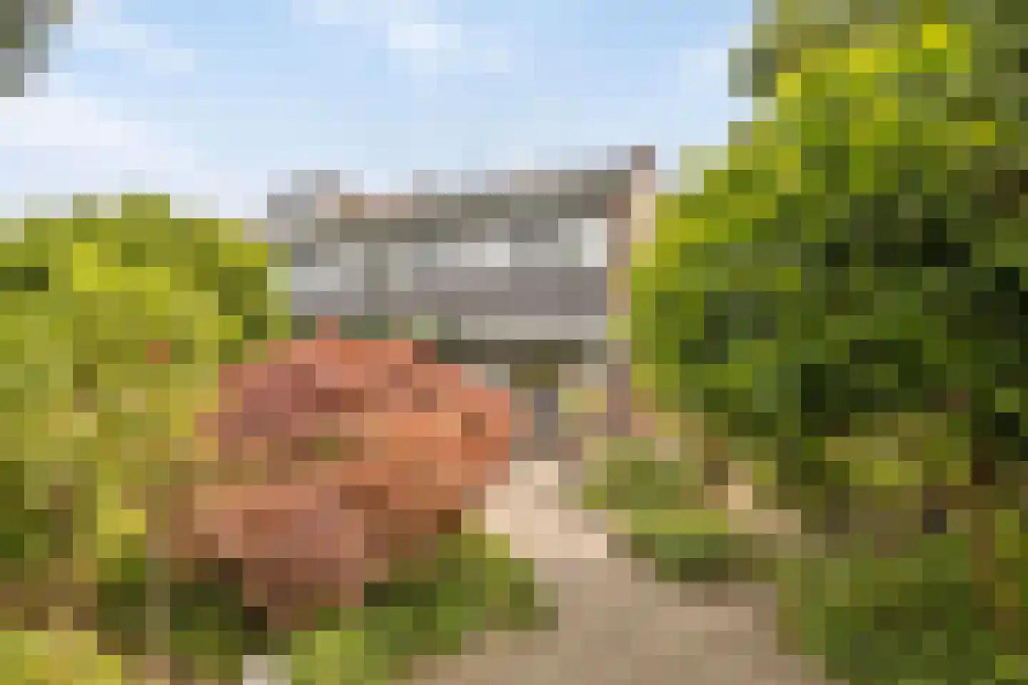 Dennenweg 227 Enschede thumbnail 36