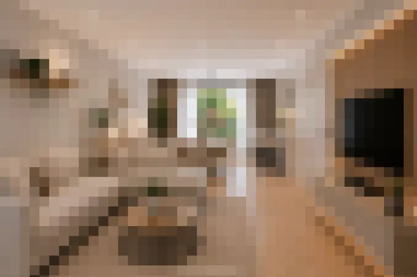 Dennenweg 227 Enschede thumbnail 5