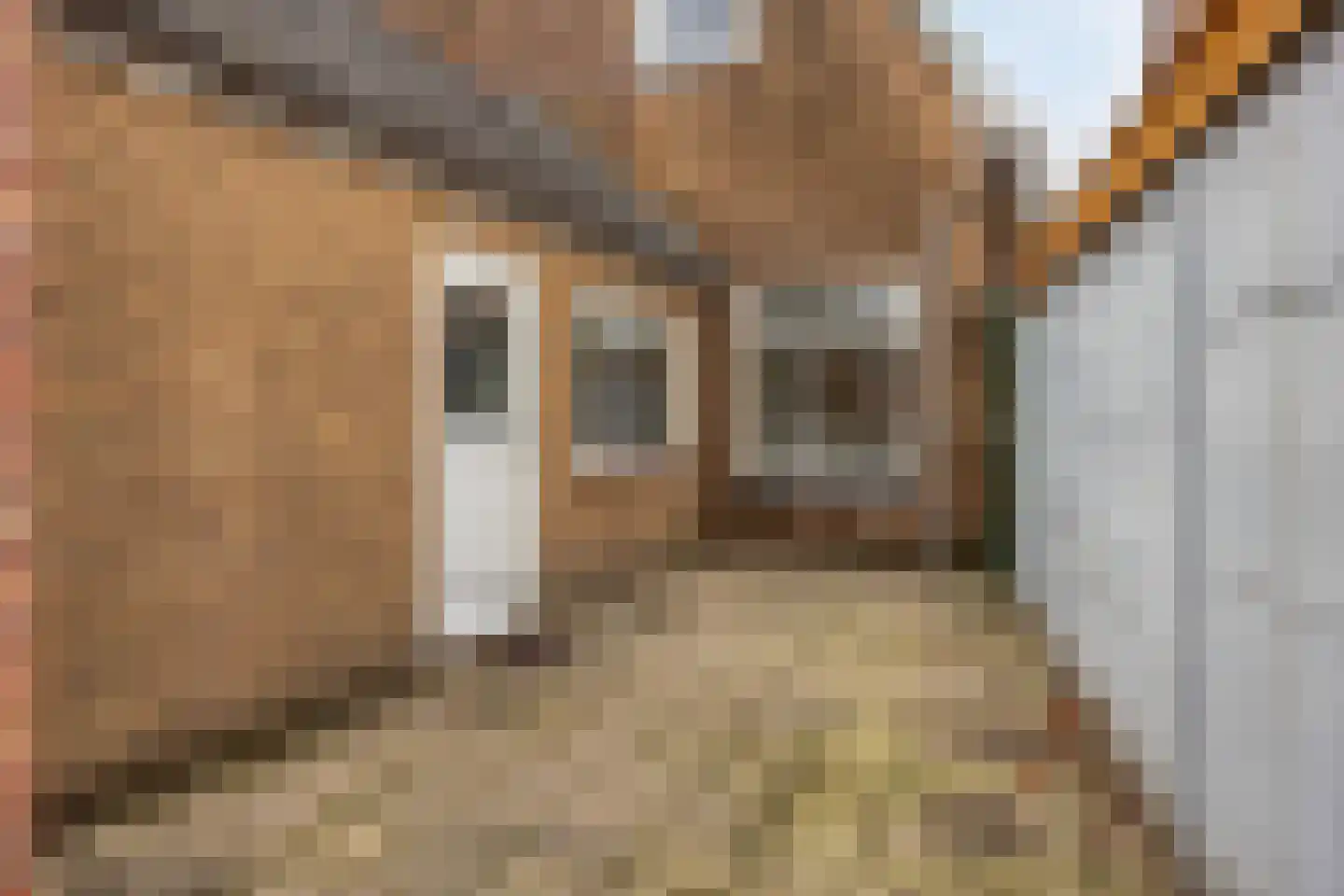 Dennenweg 235 Enschede thumbnail 32