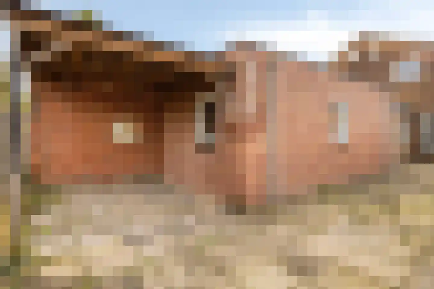 Dennenweg 235 Enschede thumbnail 33