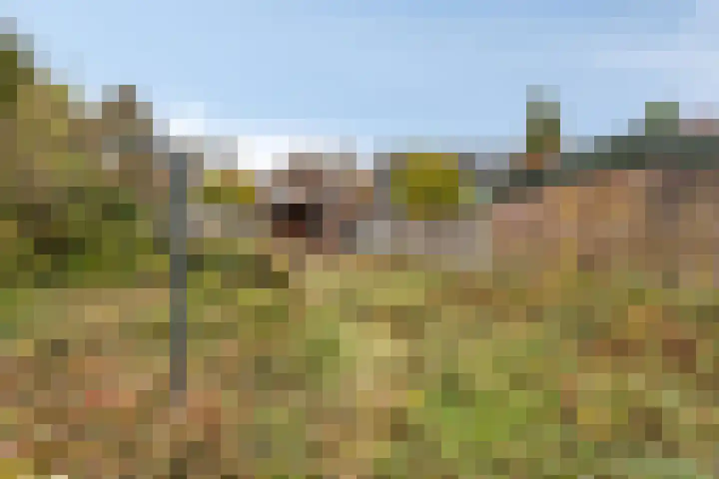 Dennenweg 235 Enschede thumbnail 36