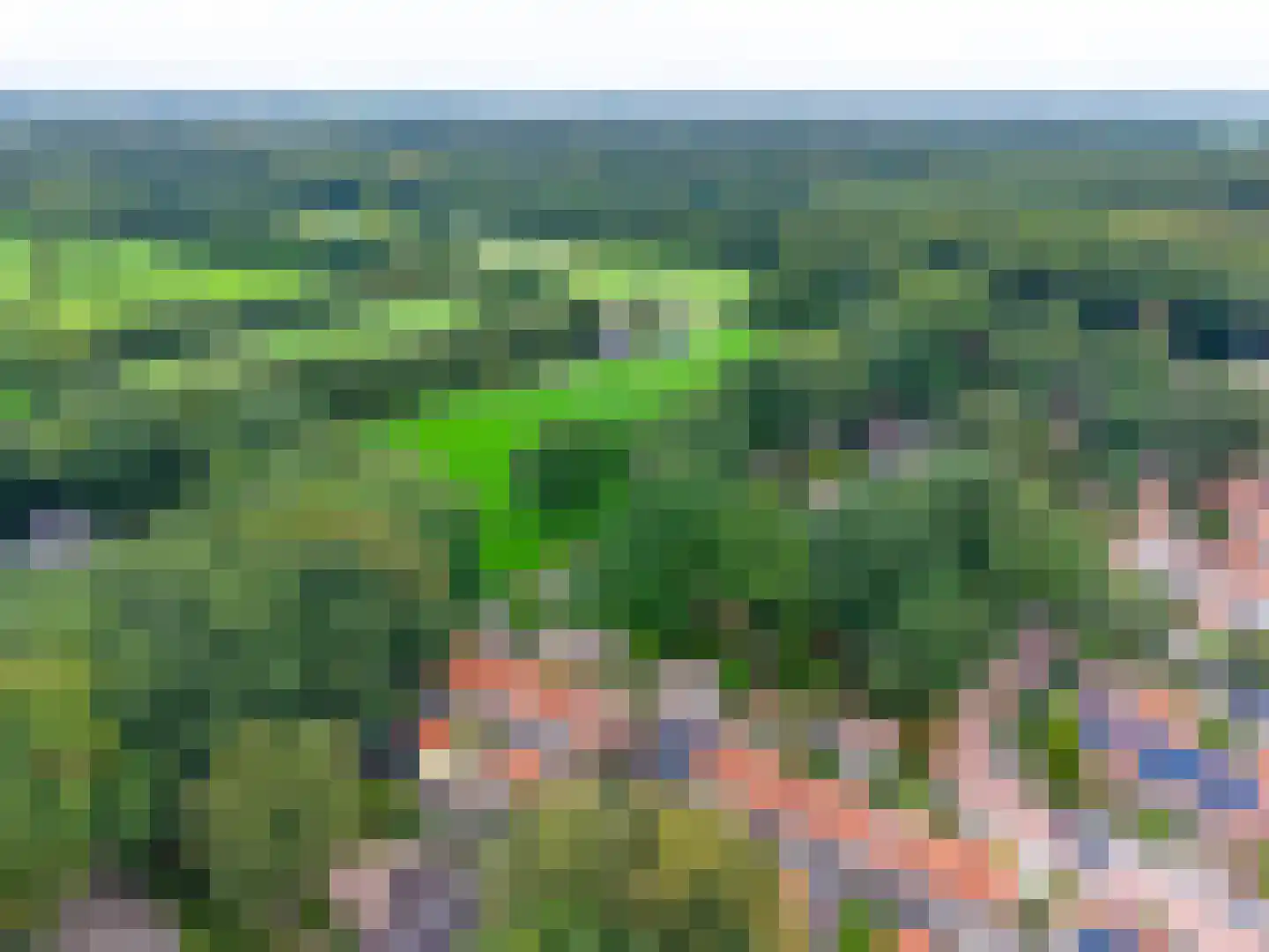 Dennenweg 34 't Harde thumbnail 11