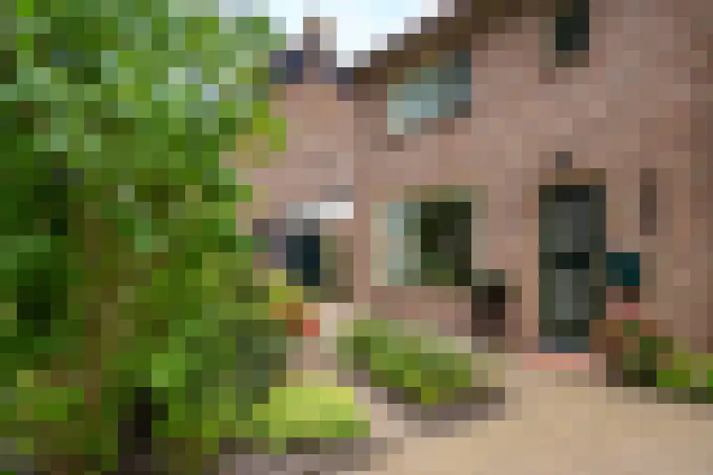 Dennenweg 34 't Harde thumbnail 12