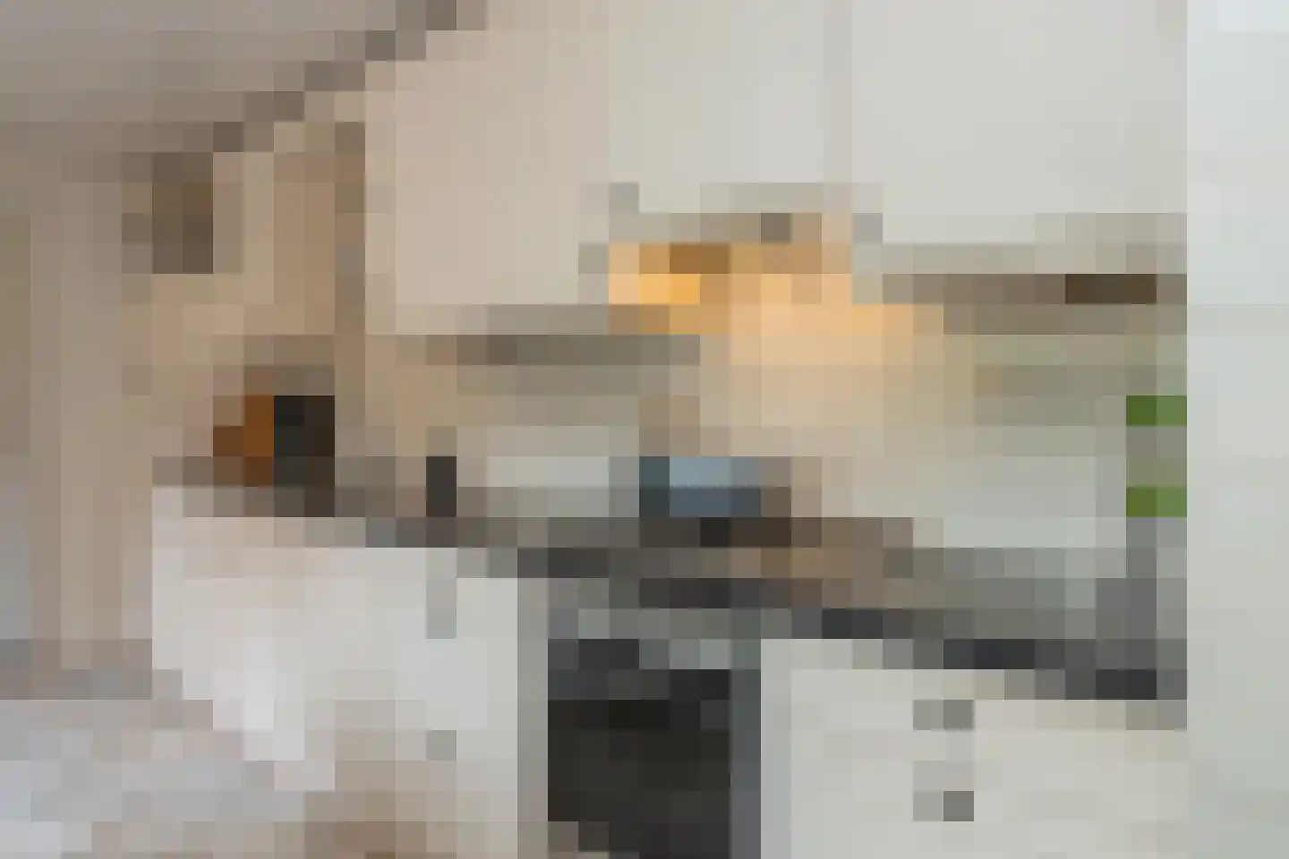 Dennenweg 34 't Harde thumbnail 25