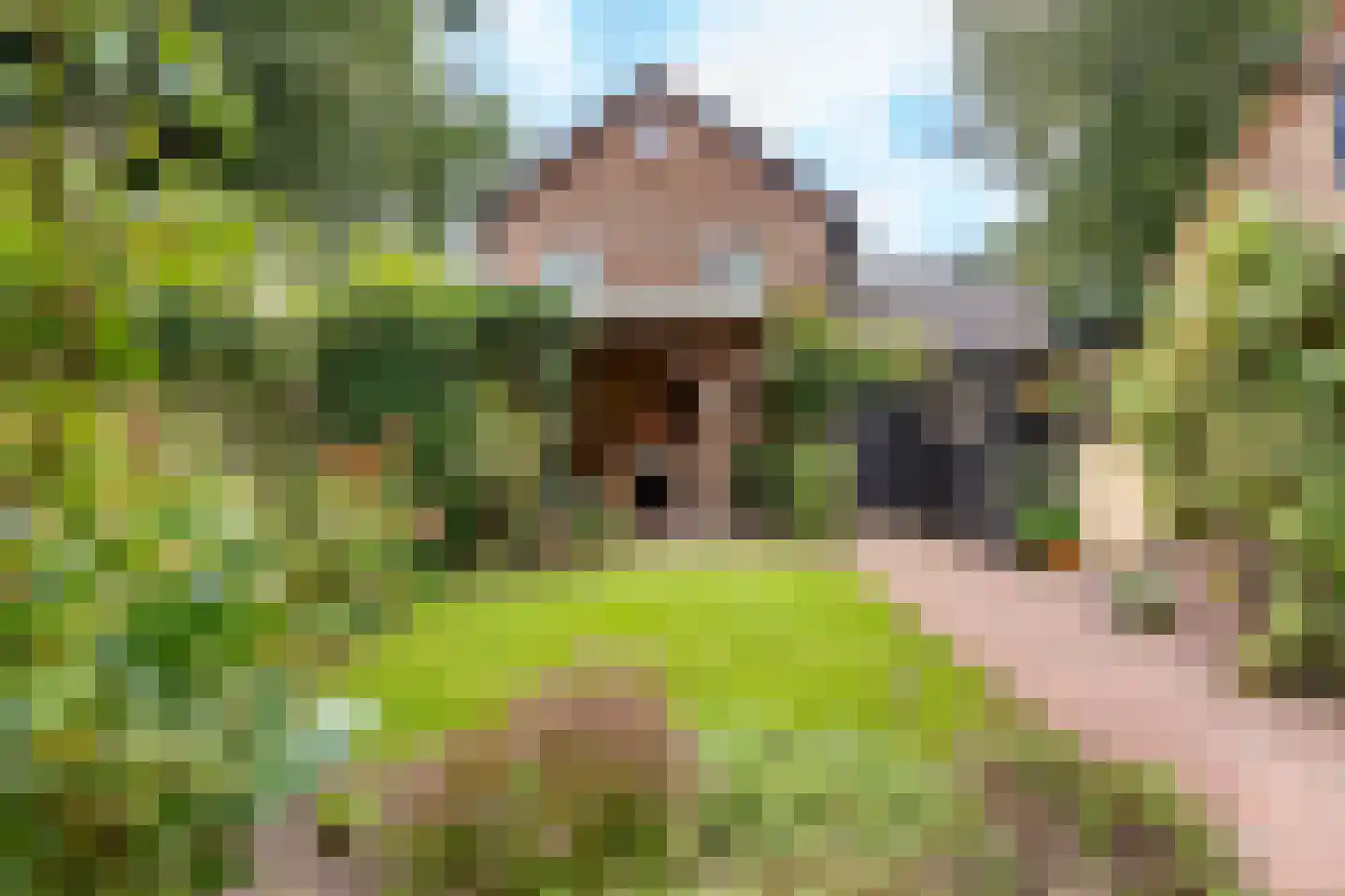 Dennenweg 34 't Harde thumbnail 55
