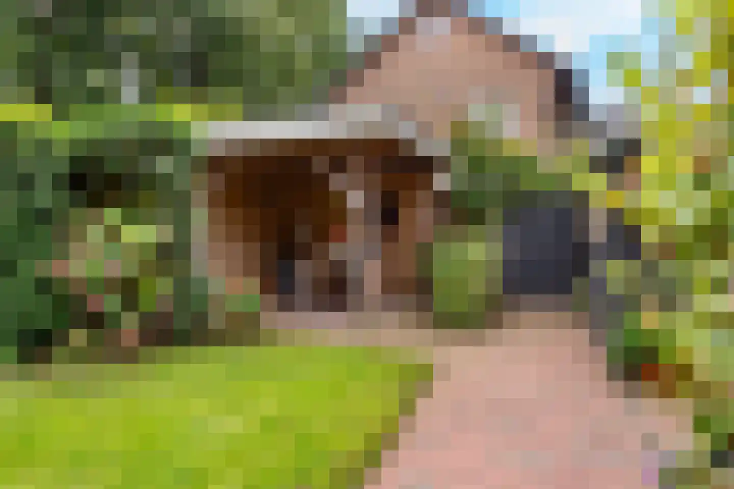 Dennenweg 34 't Harde thumbnail 56