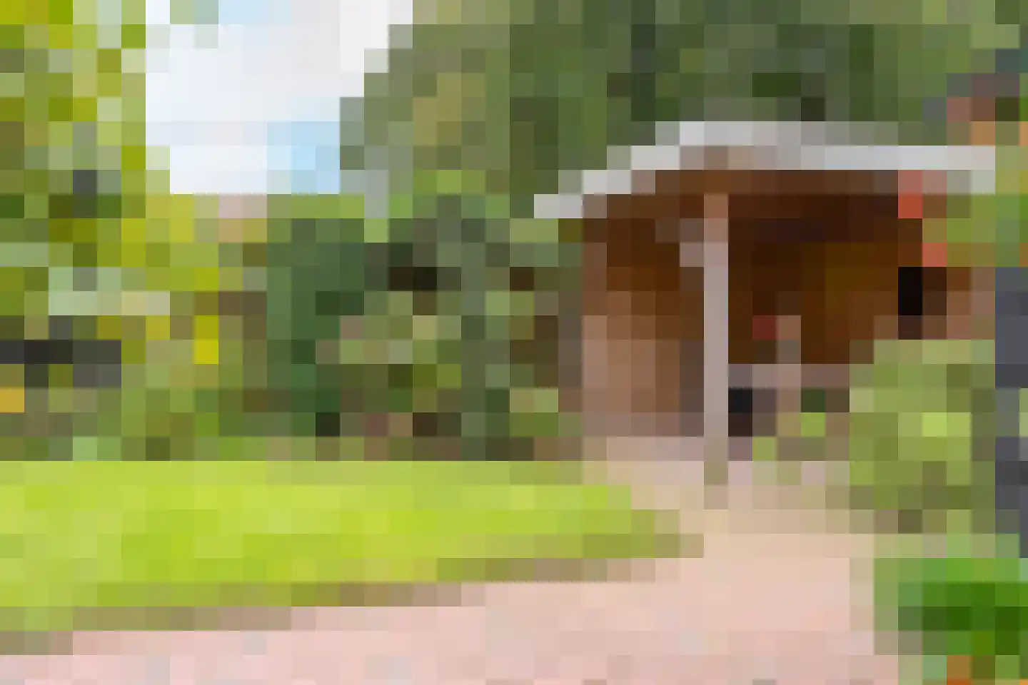 Dennenweg 34 't Harde thumbnail 57
