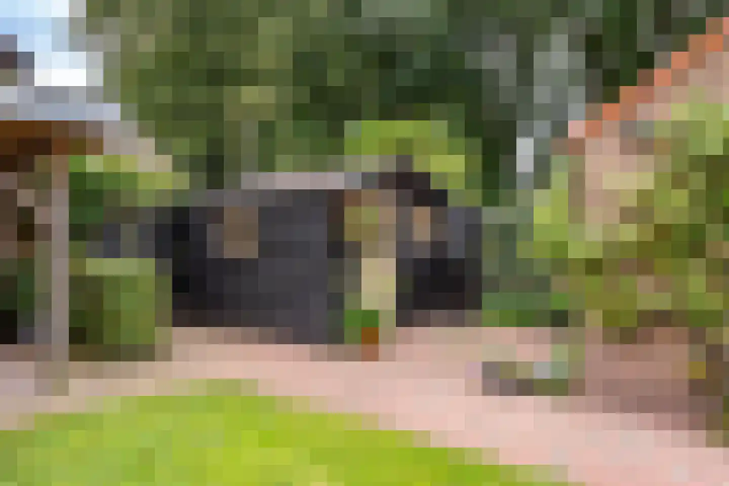 Dennenweg 34 't Harde thumbnail 58
