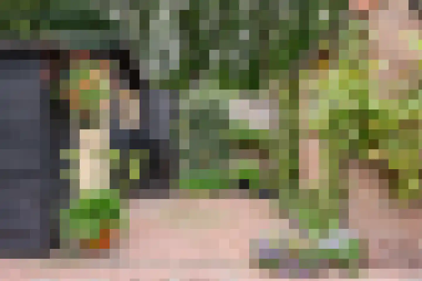 Dennenweg 34 't Harde thumbnail 59