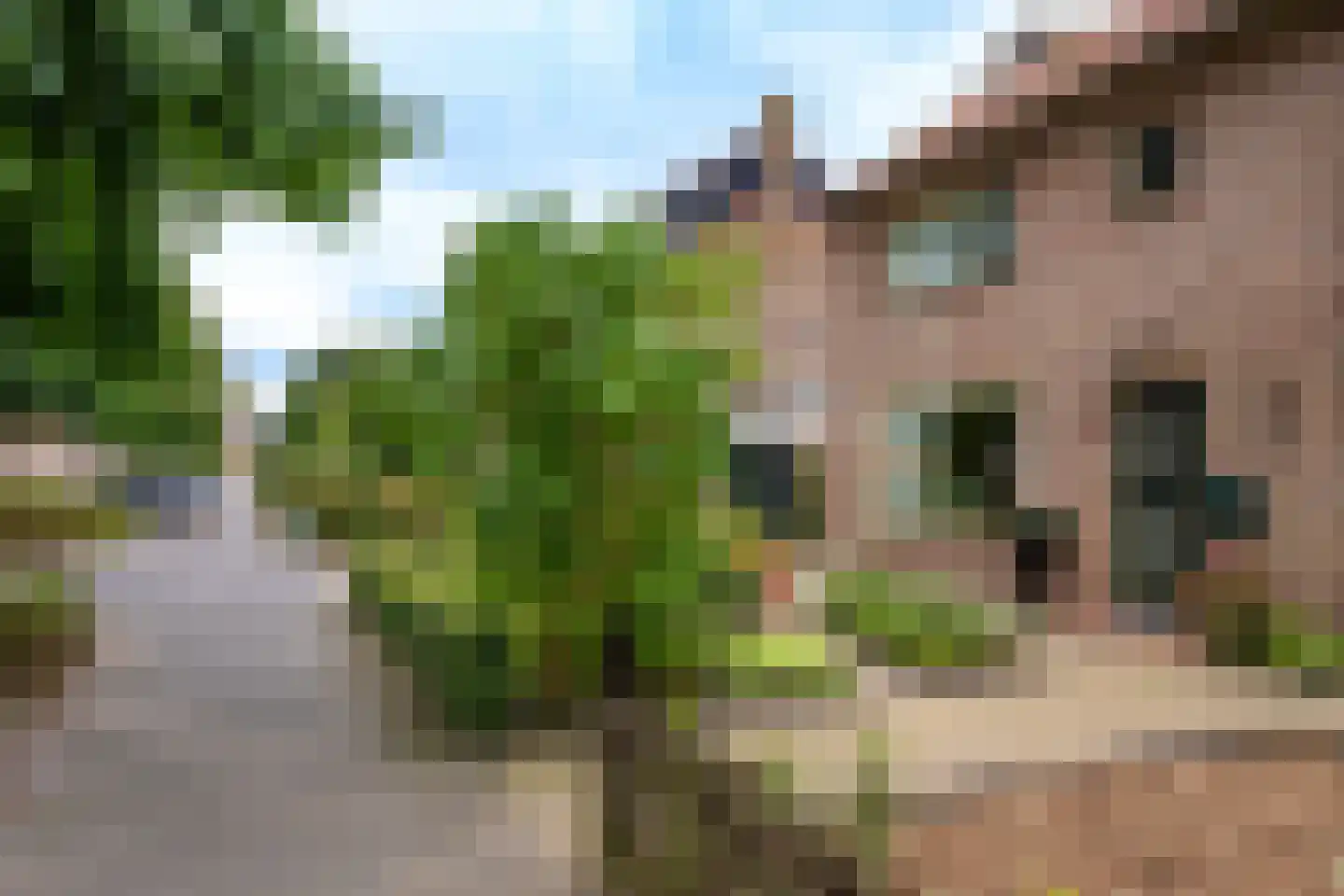 Dennenweg 34 't Harde thumbnail 61
