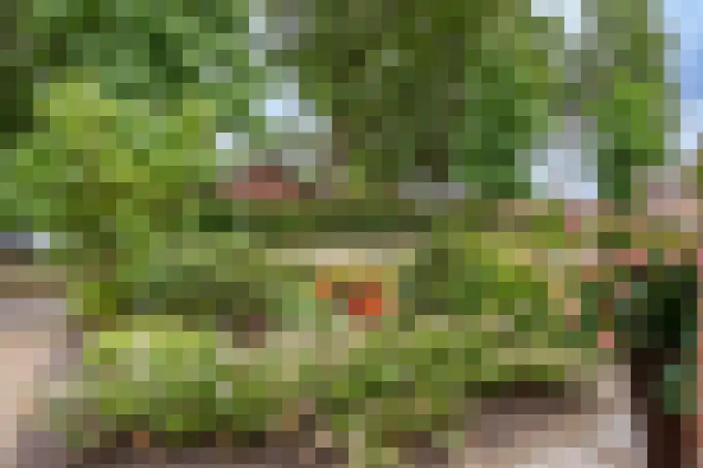 Dennenweg 34 't Harde thumbnail 64