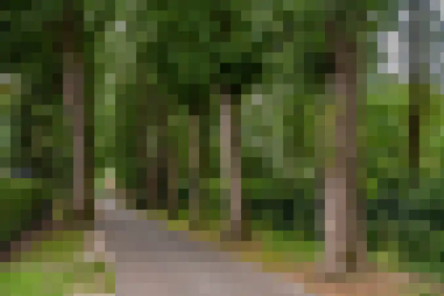 Dennenweg 34 't Harde thumbnail 65