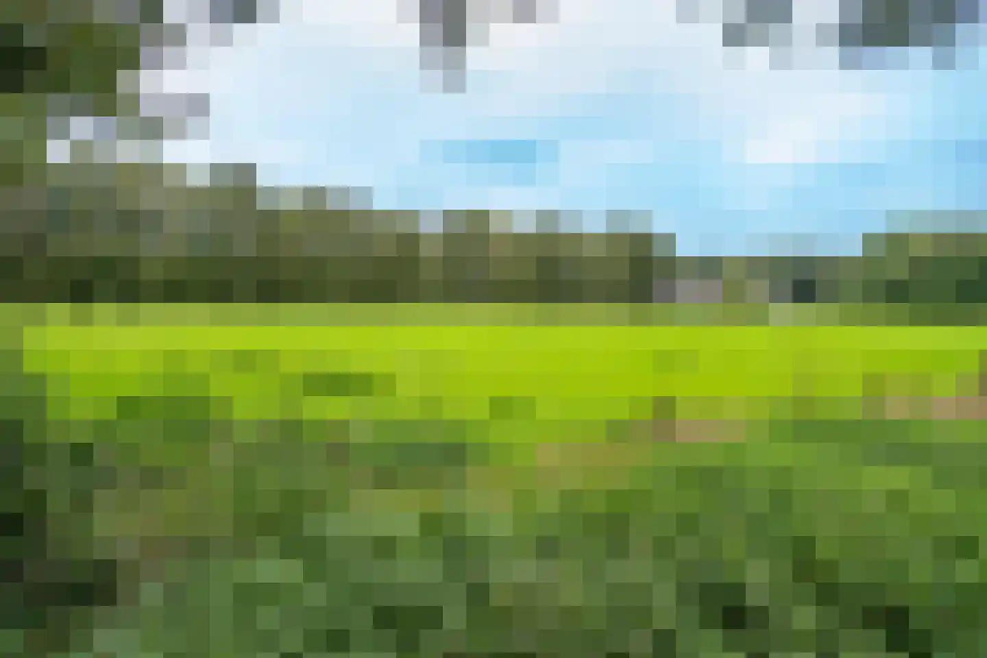 Dennenweg 34 't Harde thumbnail 66