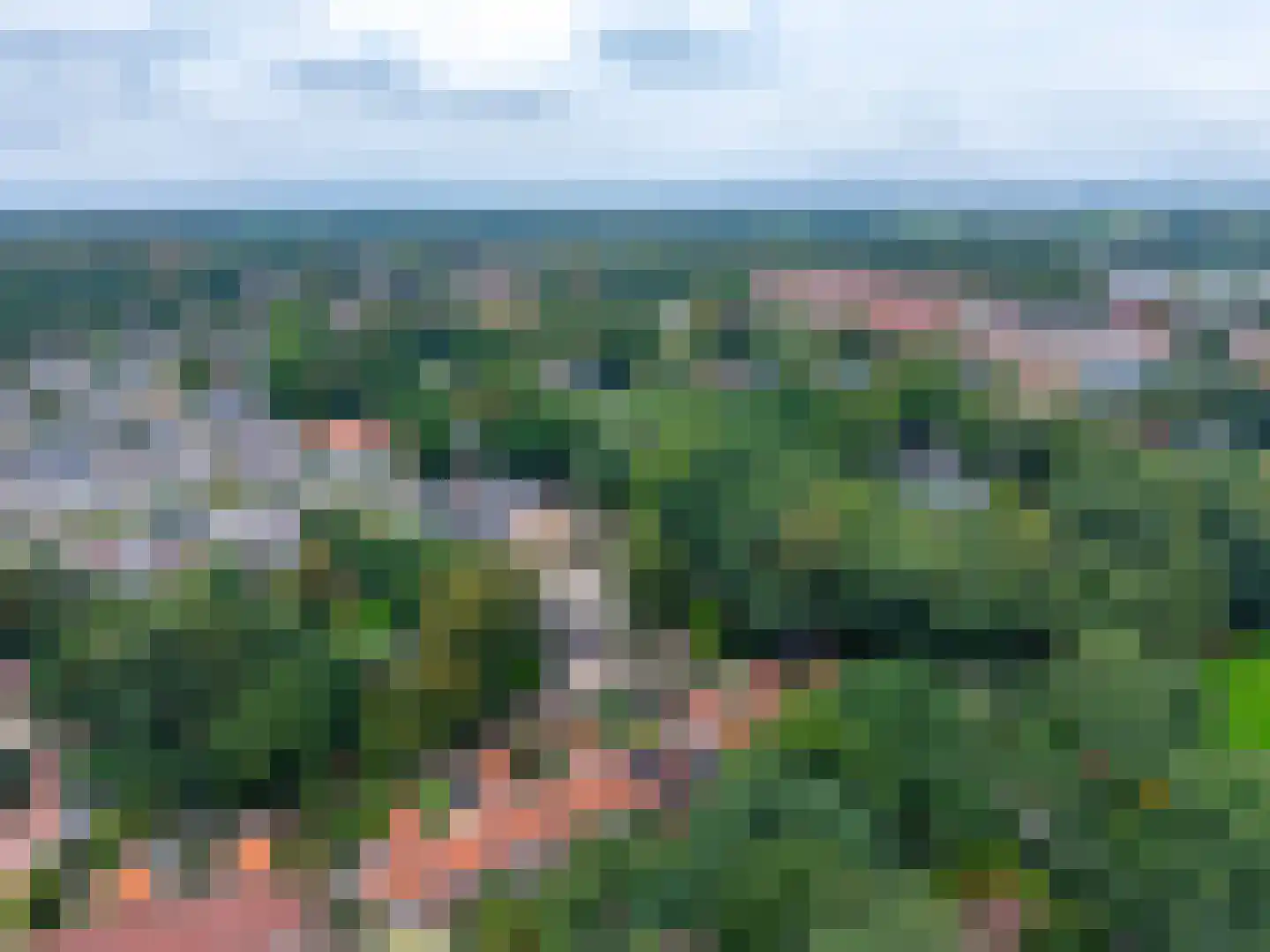 Dennenweg 34 't Harde thumbnail 68