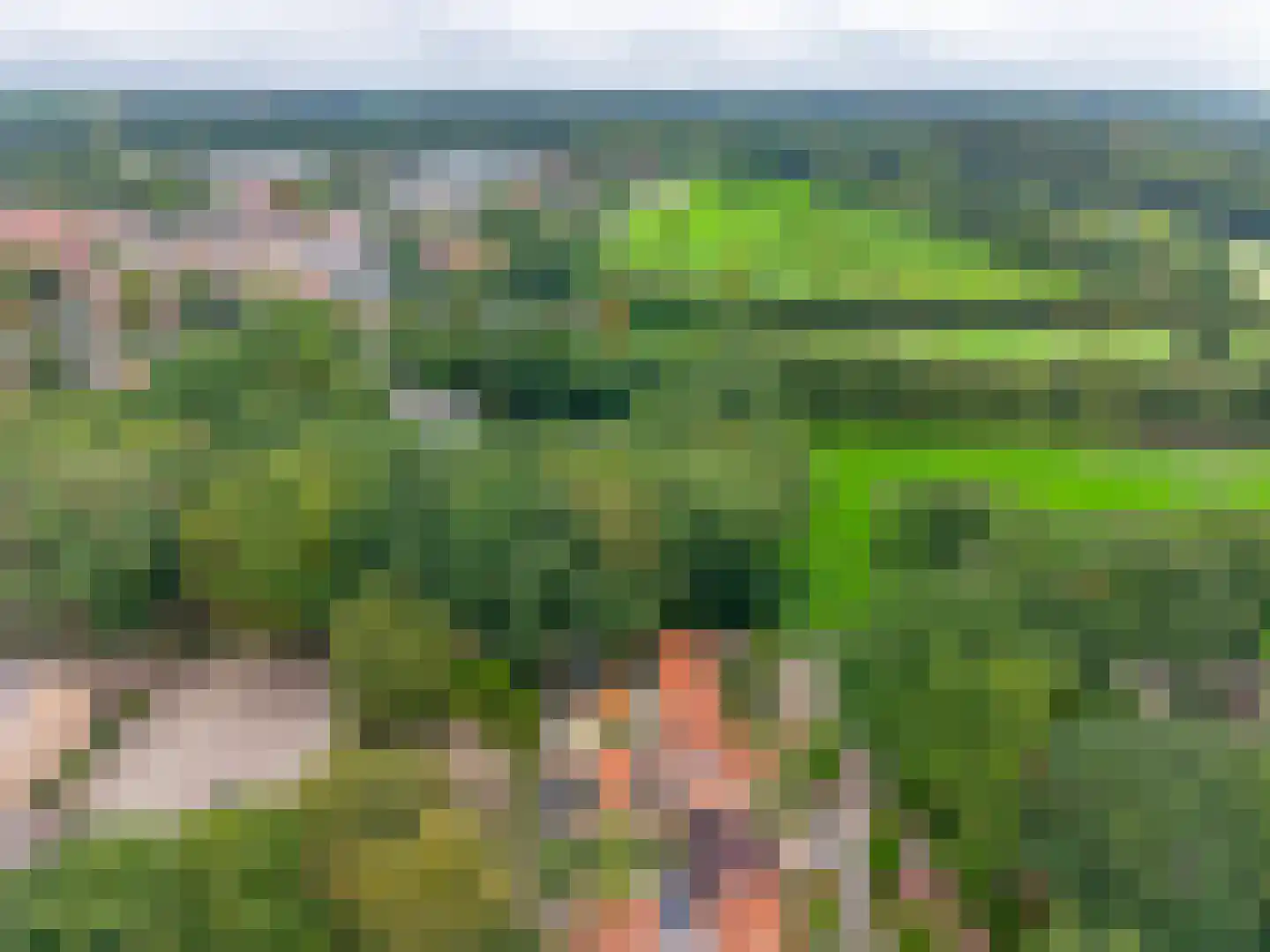 Dennenweg 34 't Harde thumbnail 71