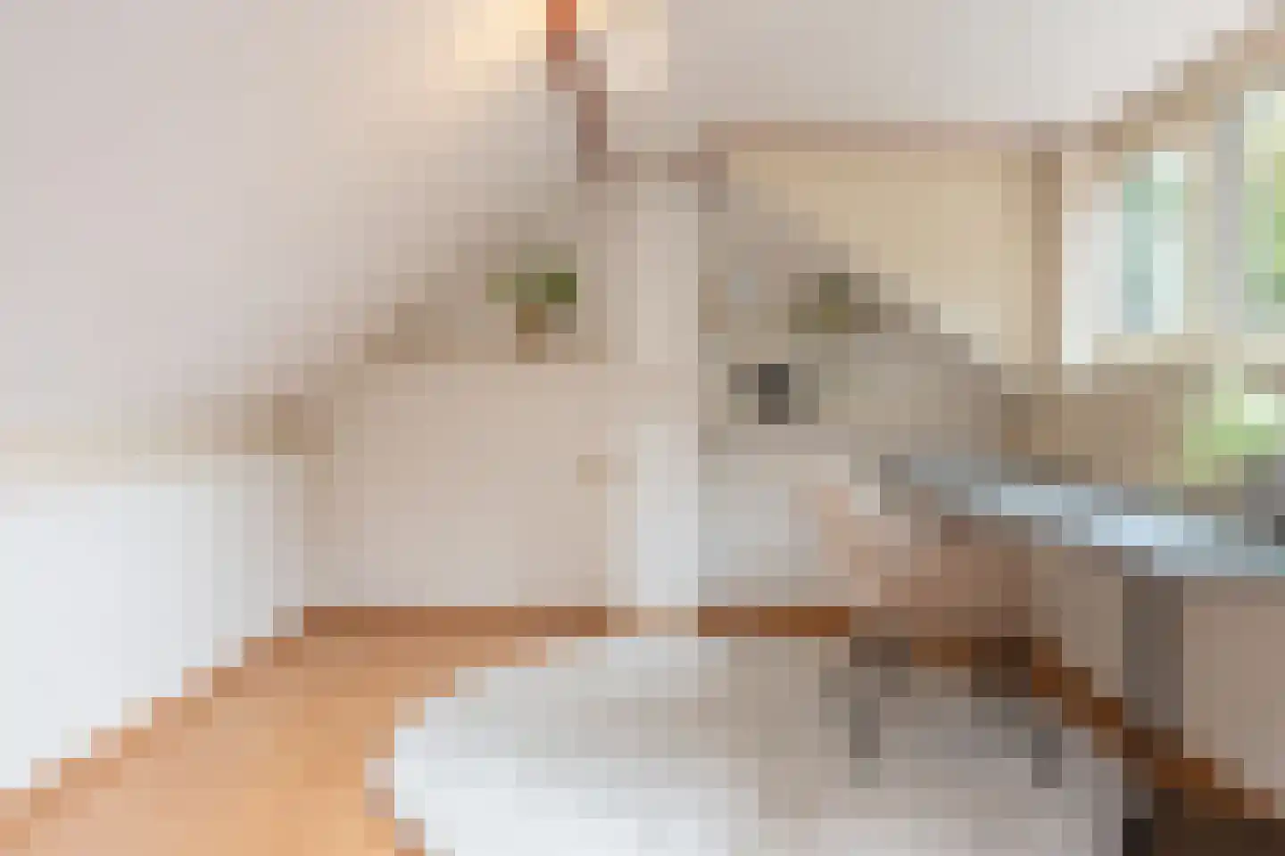 Dennenweg 34 't Harde thumbnail 8