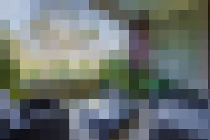 Dennenweg 4 A 1 Bosch en Duin thumbnail 11
