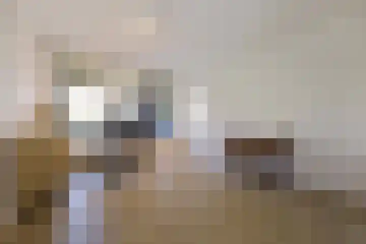 Dennenweg 4 A 1 Bosch en Duin thumbnail 18
