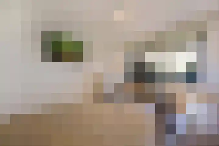 Dennenweg 4 A 1 Bosch en Duin thumbnail 19