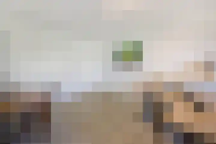 Dennenweg 4 A 1 Bosch en Duin thumbnail 20