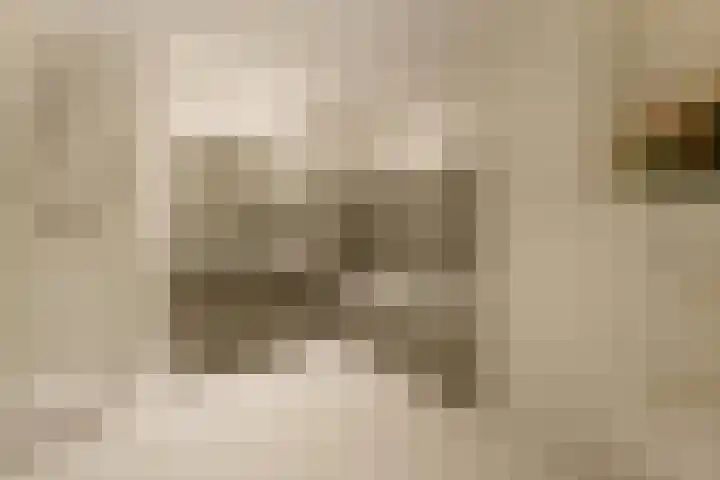 Dennenweg 4 A 1 Bosch en Duin thumbnail 25