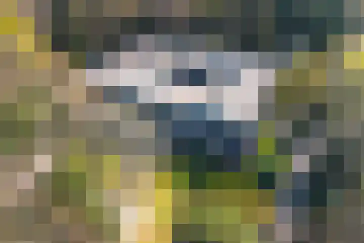 Dennenweg 4 A 1 Bosch en Duin thumbnail 39