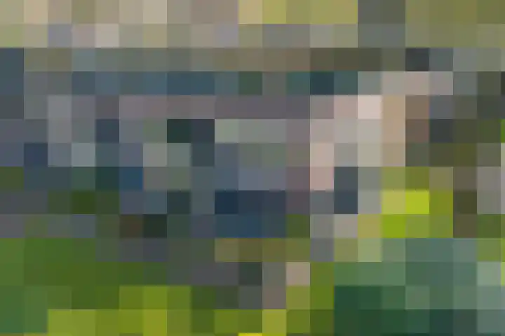 Dennenweg 4 A 1 Bosch en Duin thumbnail 40